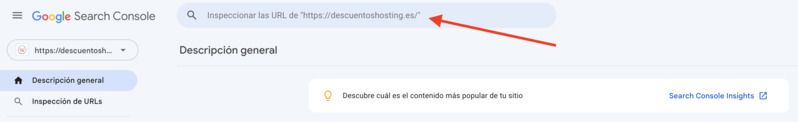 Inspeccionar como Google